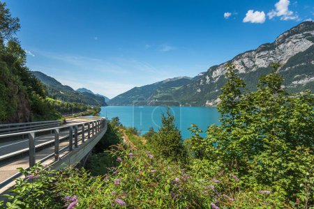 Foto de Vista panorámica del lago Walensee (lago Walen) con carretera panorámica, Quarten, Canton St. Gallen, Suiza - Imagen libre de derechos