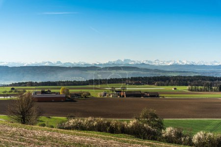 Téléchargez les photos : Paysage rural en Thurgovie, vue sur les Alpes suisses, Herdern, Canton de Thurgovie, Suisse - en image libre de droit