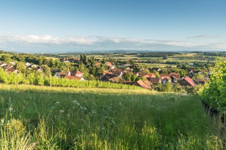 Dorf und Landschaft mit Weinberg im Thurgau, Nussbaumen, Kanton Thurgau, Schweiz
