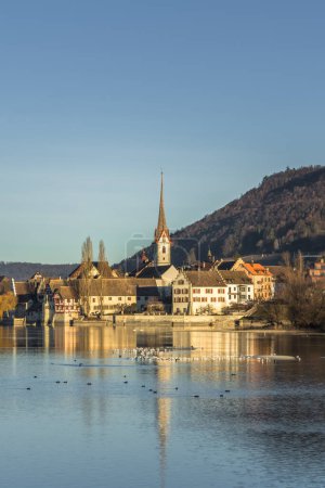View from the island of Werd across the Rhine to the old town of Stein am Rhein with St. George's Abbey, Canton of Thurgau, Switzerland