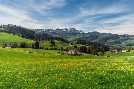 Paisaje en los Alpes Appenzell en primavera, vista sobre un prado de diente de león a las montañas Alpstein con Saentis, Appenzellerland, Cantón de Appenzell Innerrhoden, Suiza