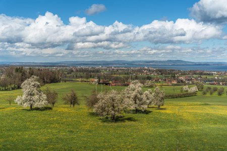 View over a spring meadow with blossoming pear trees to Romanshorn and Lake Constance, Canton of Thurgau, Switzerland