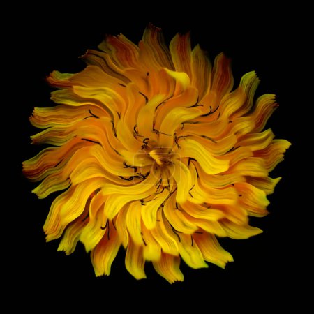 Photo for Illustrated dandelion flower swirl action - Royalty Free Image