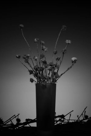 Photo for Black and white concept photo of dried flower - Royalty Free Image