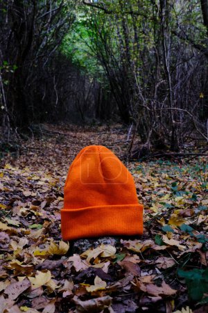 Photo for Orange knit cap in the forest on the ground - Royalty Free Image