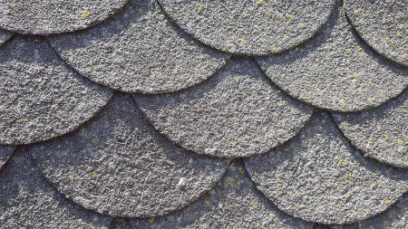 Photo for Overview of circular roof shingles - Royalty Free Image