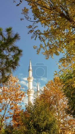 Minaret seen through the trees with blue sky
