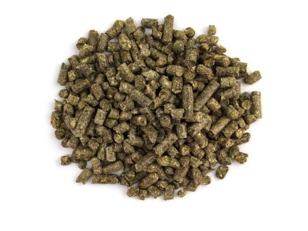 Photo for Granular wood litter for the cat's litter box. Pine absorbent filler in granules on a white background. Biofuel. Eco-friendly biodegradable product. Pressed pellets of wood sawdust for a cat's toilet - Royalty Free Image