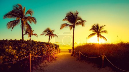 Photo for Early morning at miami beach, florida - Royalty Free Image