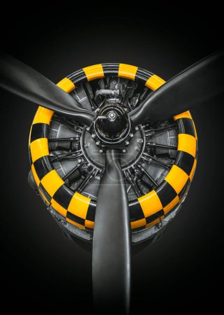 motor radial de una aeronave histórica
