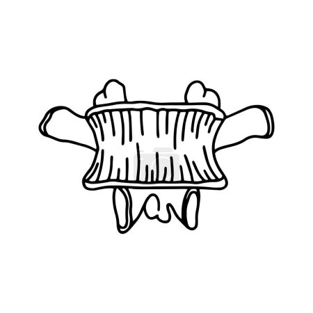 Las vértebras de la columna vertebral humana. Dibujado por líneas sobre fondo blanco. Vector Ilustración de stock.