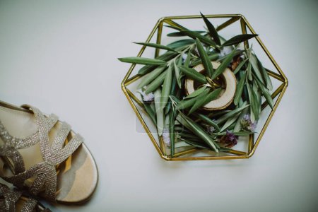 Téléchargez les photos : Feuilles d'olive fraîches dans un vase et des chaussures sur fond blanc - en image libre de droit