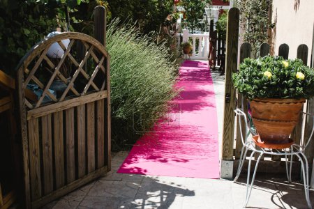 Photo for Beautiful patio with plants and pink carpet - Royalty Free Image