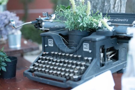 Foto de Vieja máquina de escribir vintage y planta de maceta verde - Imagen libre de derechos