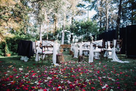 Foto de Arco de boda con sillas decoradas y flores para una hermosa boda al aire libre - Imagen libre de derechos