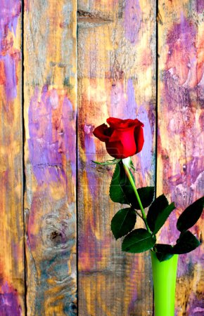 Photo for Red rose on wooden background - Royalty Free Image