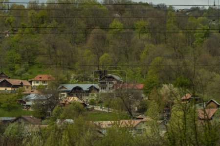 Téléchargez les photos : Paysages d'été vifs de la vallée de Prahova, Roumanie - en image libre de droit
