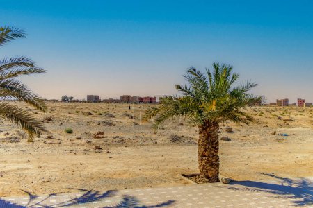 Photo for Palm grove near the city of Erfoud, Morocco - Royalty Free Image