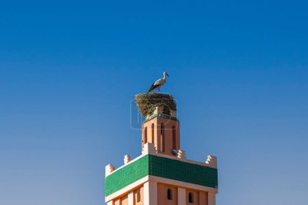 Photo for Nest of a storks on a minaret in Ouarzazate, Morocco - Royalty Free Image