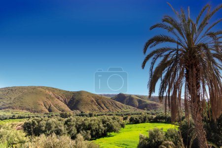 Foto de Valle de Ourika, pueblo de ladrillo de barro de Anammer en la parte posterior, montañas del Atlas, Marrakech-Tensift-Al Haouz, Marruecos - Imagen libre de derechos