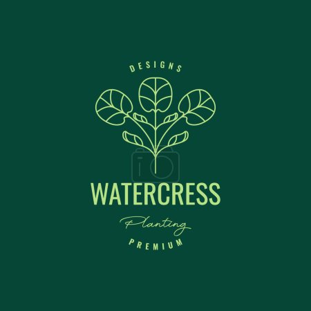 Téléchargez les illustrations : Watercress leaves plant water vegetables fresh hipster logo design vector icon illustration template - en licence libre de droit