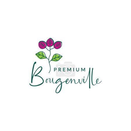 Illustration for Plant flower florist Bougainvillea fragrant colorful gardening logo design vector icon illustration - Royalty Free Image