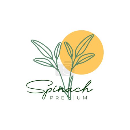 Illustration for Fresh vegetable water spinach leaves nutrition lines feminine logo design vector - Royalty Free Image