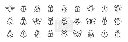 type d'insecte avec des ailes style ligne simple moderne icône minimale ensemble collection signe symbole logo conception illustration vectorielle