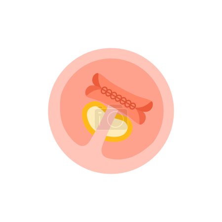 Illustration for Vector illustration. Flat icon pregnancy 5 week - Royalty Free Image