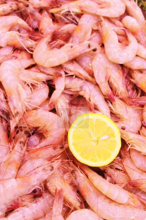 Photo for Large raw tiger prawns crevettes at fishmonger with lemon background with copy space - Royalty Free Image
