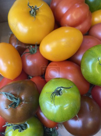 Photo for Raw heritage tomatoes, tomato in green red green and brown - Royalty Free Image