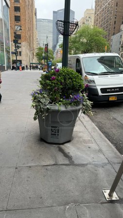 Photo for New York, NY - May 6, 2024: Flower pot near 34th Street on sidewalk looking north - Royalty Free Image