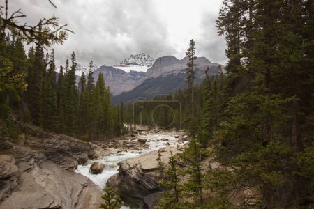 Photo for Mistaya canyon on a cloudy day in Canada - Royalty Free Image