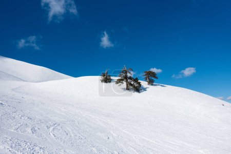 Photo for Breathtaking scenery on the snowy slopes of Vasilitsa ski center, Grevena, Greece - Royalty Free Image