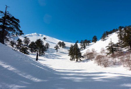Foto de Impresionantes paisajes en las pistas nevadas del centro de esquí de Vasilitsa, Grevena, Grecia - Imagen libre de derechos
