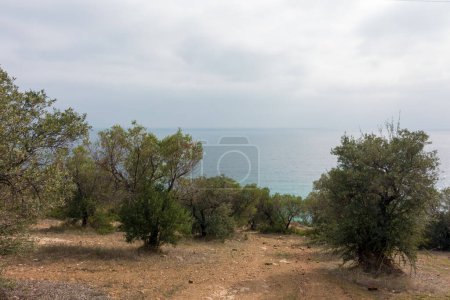 Foto de Hermoso paisaje junto al mar cerca del pueblo de Pyrgadikia, Chalkidiki, Grecia, en un día nublado - Imagen libre de derechos