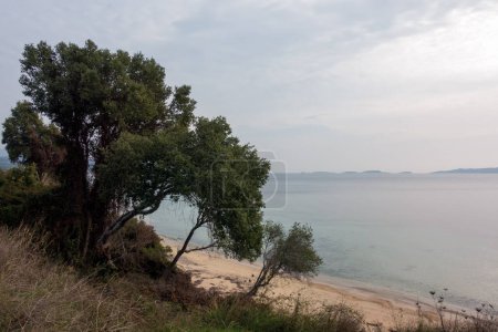 Photo for Beautiful scenery by the sea close to Ouranoupoli village, Chalkidiki, Greece, on a cloudy day - Royalty Free Image
