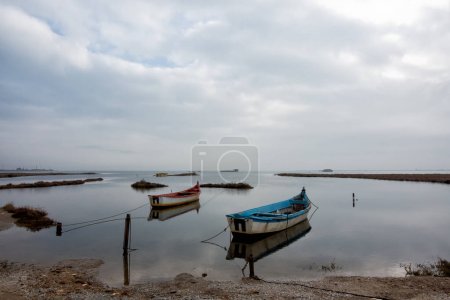 Foto de Hermoso paisaje en el delta del río Gallikos, Kalochori, Grecia, un refugio para muchas especies de aves y peces - Imagen libre de derechos