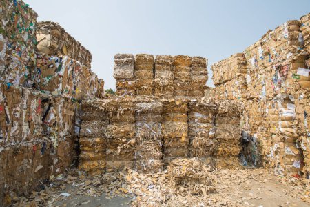 Foto de Montón de papel y trozo de cartón en la planta de papel de la industria del reciclaje - Imagen libre de derechos