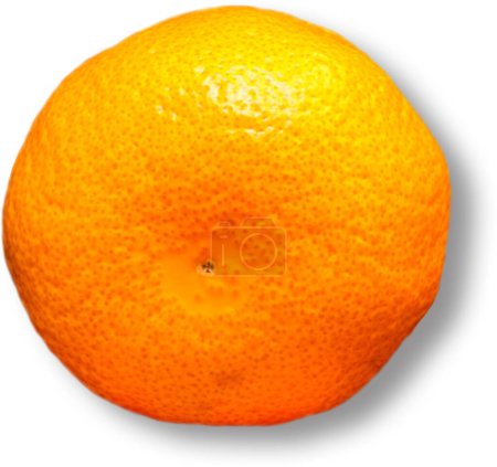 Photo for Tangerines have a high vitamin C content, which helps to strengthen our immune systems. - Royalty Free Image