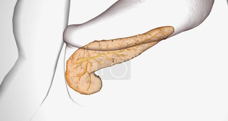 Téléchargez les photos : Cystic fibrosis (CF) is a genetic disorder characterized by thick mucus production. 3D rendering - en image libre de droit