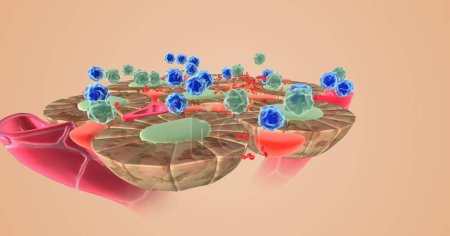 Photo for Autoimmune attack on thyroid cells 3D rendering - Royalty Free Image