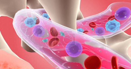 Foto de A nivel celular, las células madre en la sangre no pueden transformarse completamente en células sanguíneas maduras. Renderizado 3D - Imagen libre de derechos