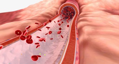 Los lípidos son tipos de grasa que viajan a través del torrente sanguíneo. Renderizado 3D