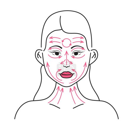 Illustration for Line massage on the face. Facial massage. Facial skin care at home, infographic vector. Woman doing face massage, shows movement direction concept in line style. Anti-ageing, lifting sculpt - Royalty Free Image