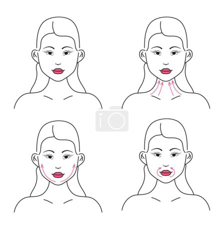 Illustration for Line massage on the face. Facial massage. Facial skin care at home, infographic vector set. Anti-ageing, lifting sculpt. Woman doing face massage, shows movement direction concept in line style. - Royalty Free Image