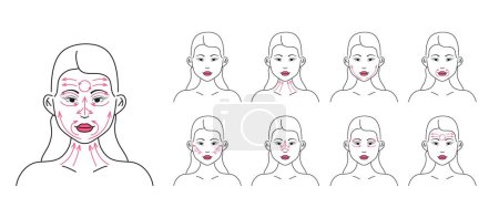 Illustration for Line massage on the face. Facial massage. Facial skin care at home, infographic vector set. Woman doing face massage, shows movement direction concept in line style. - Royalty Free Image