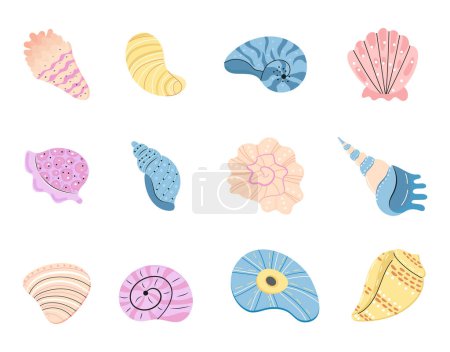 Sea schell, conches of sea snail vector set. Colorful shell, ocean conch, rief or sea mollusk.