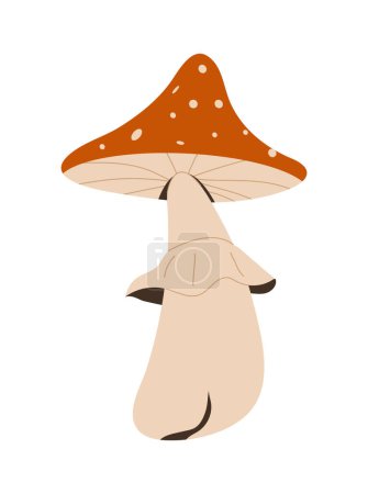 Mushroom in hand drawing style. Forest Mushrooms, chanterelles and toadstools are depicted. White mushroom, fly agaric and collect boletus mushrooms, champignons and other delicacies.