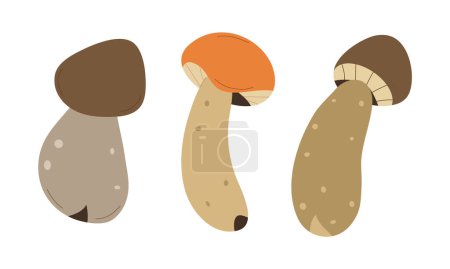 Waldpilze, Pfifferlinge und Fliegenpilze. Champignon in Hand Zeichenset. Weißer Pilz, Fliegenpilz und Steinpilze, Champignons und andere Delikatessen.